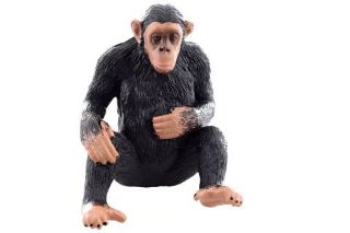 Obrázek z Figurka Šimpanz 7cm 